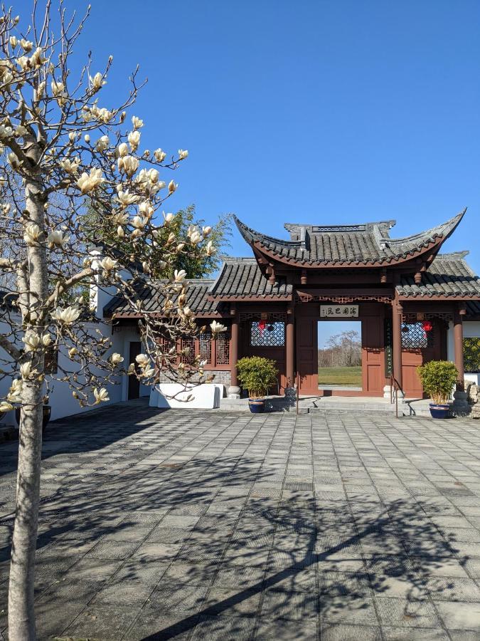 High Point Guesthouse - Next To Seattle Chinese Garden Exteriér fotografie
